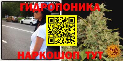 стаф Бугуруслан
