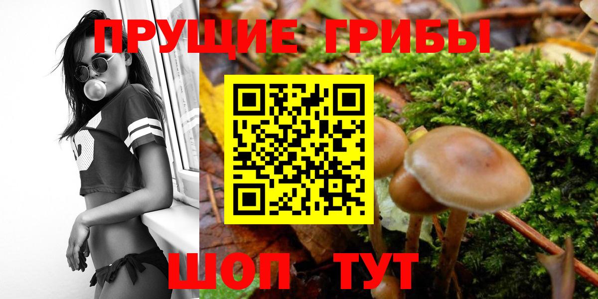 Тула  Галлюциногенные грибы Psilocybe  Вход с VPN 